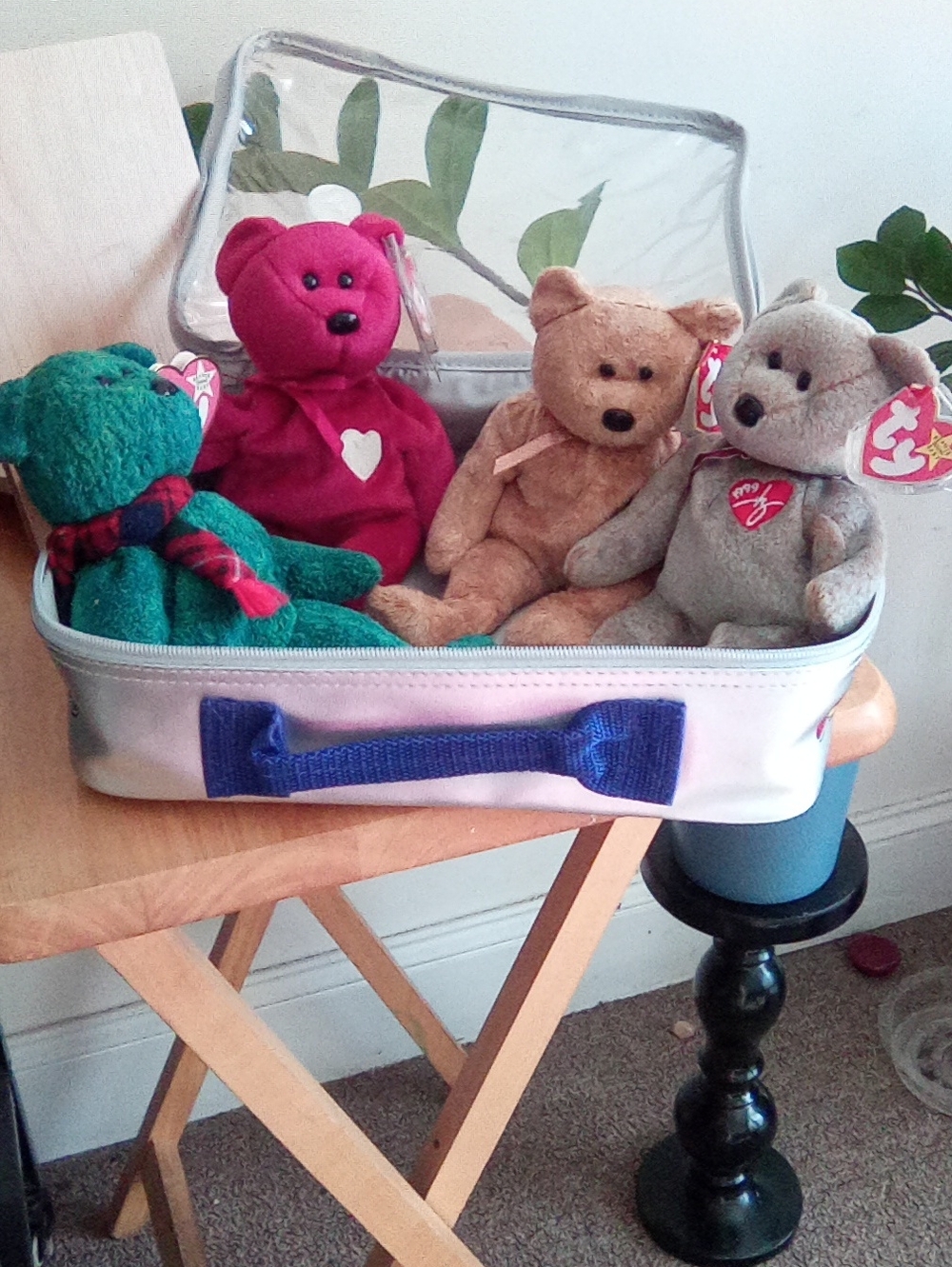 TY Beanie Babies Retired With Storage Case Wallace,Valentina, Cashew,and 1999